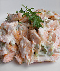 Salmon Sandwich Spread by Fotoos Van Robin