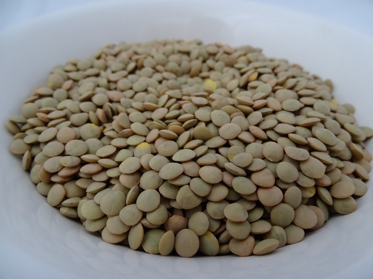 Lentils Closeup